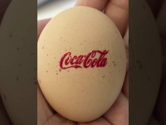 Hoogte 1062 de HEREN DTF UV Printer Maximum Width 620 MM. Digitale Inkt Jet Printer